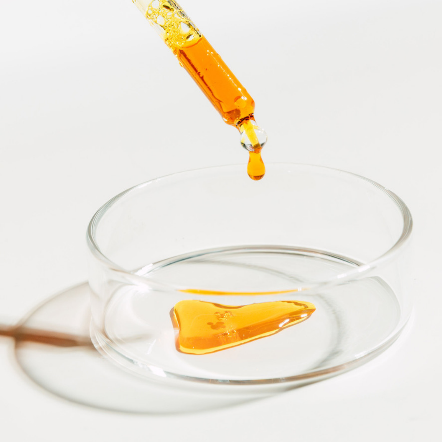 Wenn Wirkung ankommt: Unser Ansatz zur besseren Bioverfügbarkeit